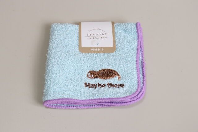 パイルタオルハンカチ刺繍付 パッケージ
