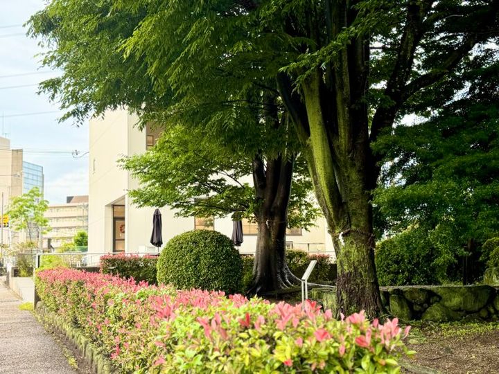 奈良 DESIGN SETTA SANGO 11