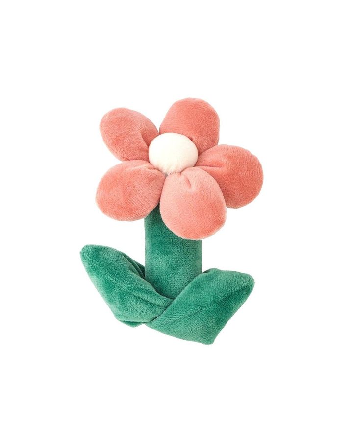 画像2: 出典：3COINS