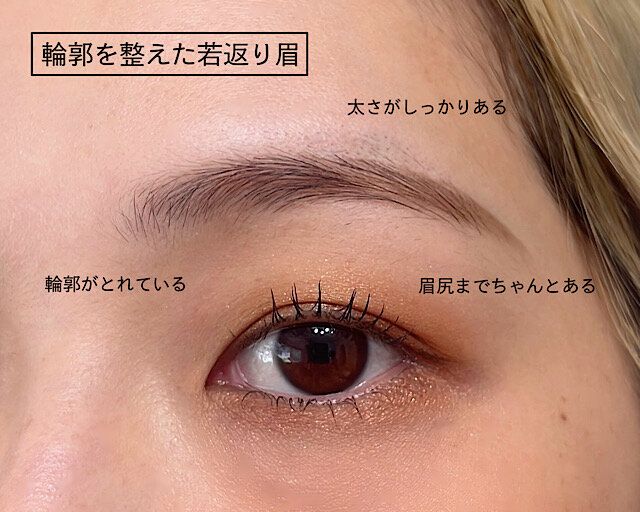 輪郭を整えた若返り眉