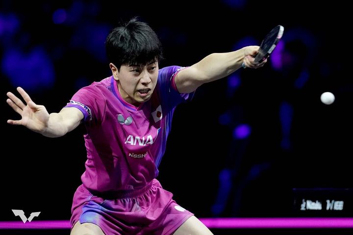 篠塚大登（C）WTT