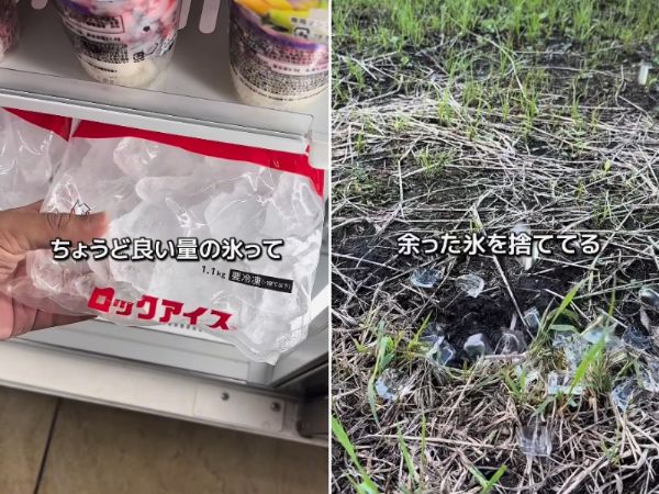 危険な使い方してない？初心者が見落としがちなタープ選びのコツを紹介！