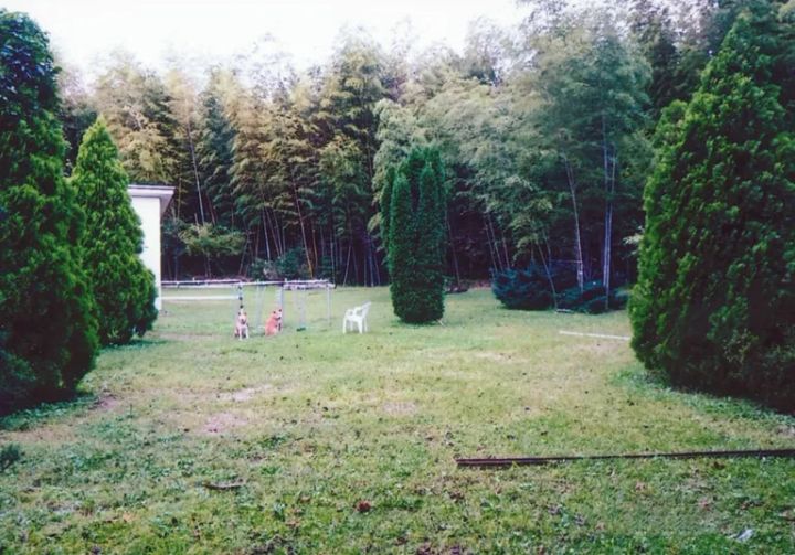 前年対比300％超え！ザムストの熱中症対策できる日傘が優秀すぎる！