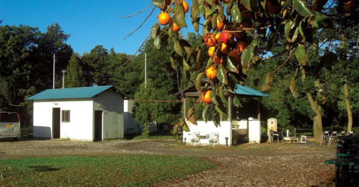 前年対比300％超え！ザムストの熱中症対策できる日傘が優秀すぎる！