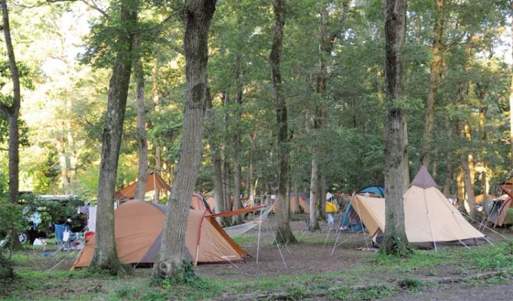 前年対比300％超え！ザムストの熱中症対策できる日傘が優秀すぎる！