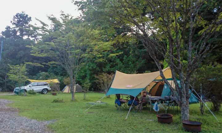 前年対比300％超え！ザムストの熱中症対策できる日傘が優秀すぎる！