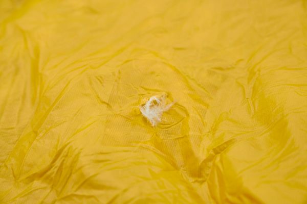 ここでしか体験できない最高の夏！農業とリゾートを融合した「循環型ファームステイ」で自然と食を大満喫