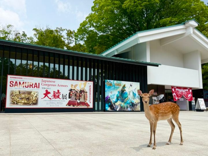 奈良・春日大社_国宝大鎧展01