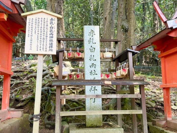 奈良・春日大社13