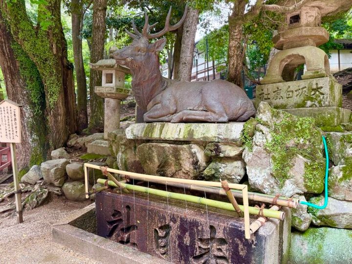 奈良・春日大社03