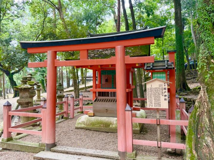 奈良・春日大社04