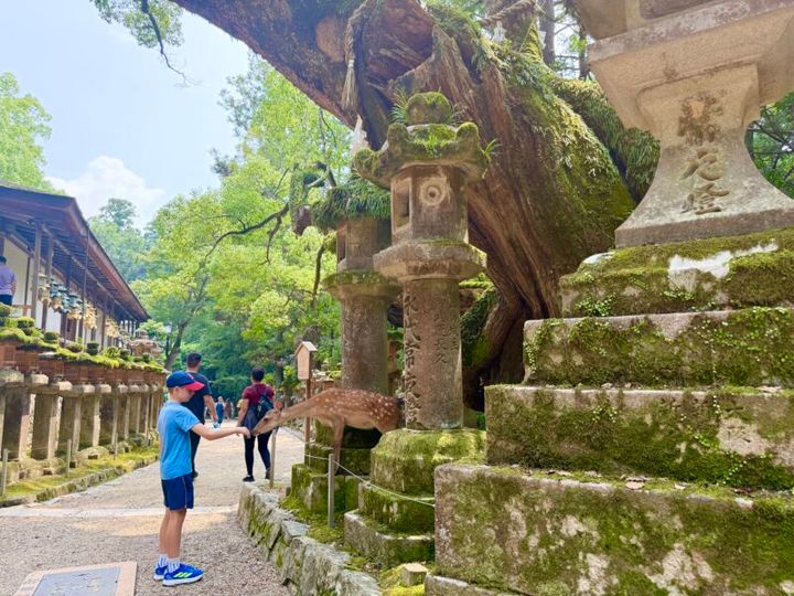 奈良・春日大社15