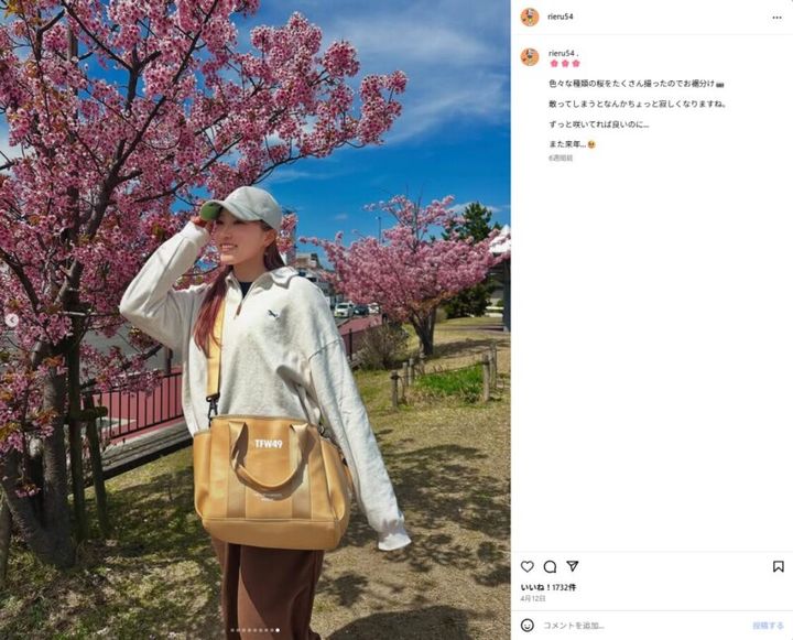 澁澤プロが桜の写真をお裾分け「ずっと咲いてれば良いのに…」