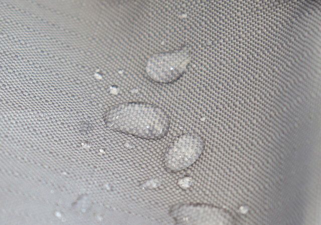 宝島社のモノマックス9月号付録のテバのトートバッグ4