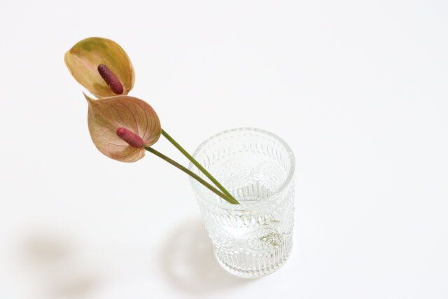 セリアレトロフルールグラス花瓶