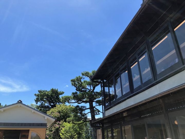 創業1854年！抹茶の聖地、京都宇治「中村藤吉」のしっとりふんわり「うじていら」【旅するデザイナーがおすすめするお土産たち！】