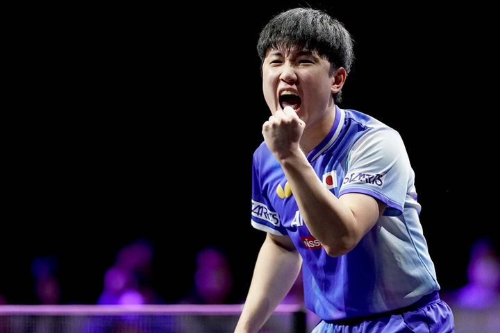 張本智和（C）WTT