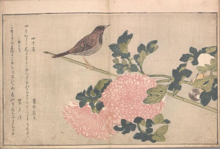 ［赤松金鶏］［撰］ほか『絵本百千鳥』