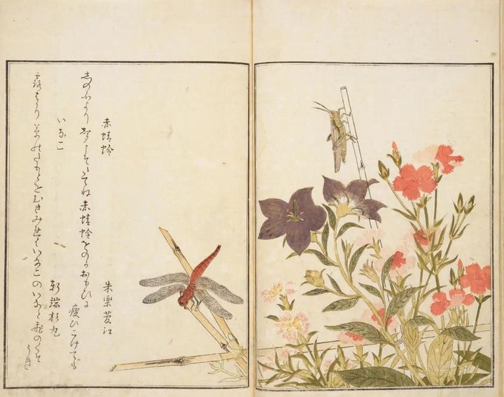 喜多川歌麿 筆、宿屋飯盛 撰『画本虫ゑらみ』