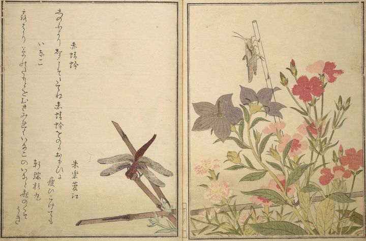 喜多川歌麿画『画本虫撰（えほんむしえらみ）』