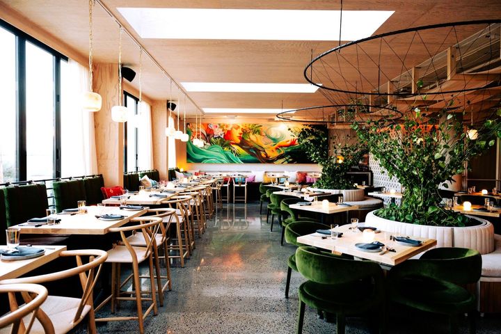 「Terra Mae」とはポルトガル語で「母なる大地」。奥にある絵は地元のアーティスト、ブレイン・フォンタナの“母”をイメージした描きおろし。