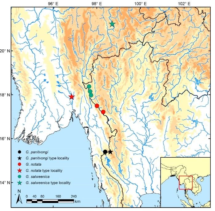 アタラン川の流域（黒がレッドテール・ガラ、赤と緑は近縁の既知種）