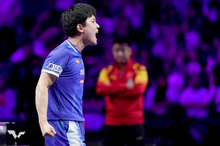 張本智和（C）WTT