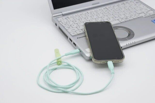 ダイソーの可愛い充電・通信C-Cケーブル（留めバンド付、グリーン）