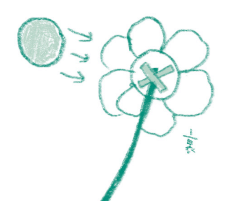 画用紙に、塗って、切って、貼って完成！ 夏を彩る元気なお花「カラフルサンフラワー」の作り方【ボーネルンドのきせつとあそぼ！】の画像7