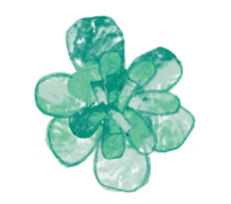 画用紙に、塗って、切って、貼って完成！ 夏を彩る元気なお花「カラフルサンフラワー」の作り方【ボーネルンドのきせつとあそぼ！】の画像6