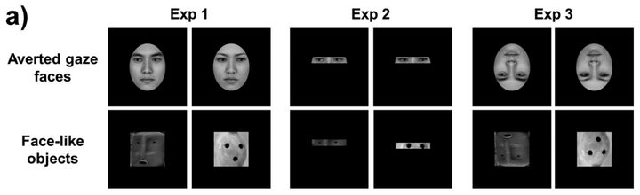 「本物の顔」と「偽物の顔」は注意の質が違っていた