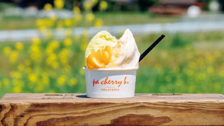 鳥取〈GELLATERIA pa cherry b.〉ジェラート