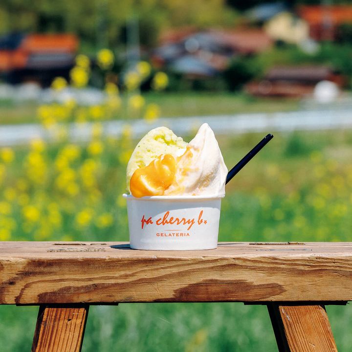 鳥取〈GELLATERIA pa cherry b.〉ジェラート