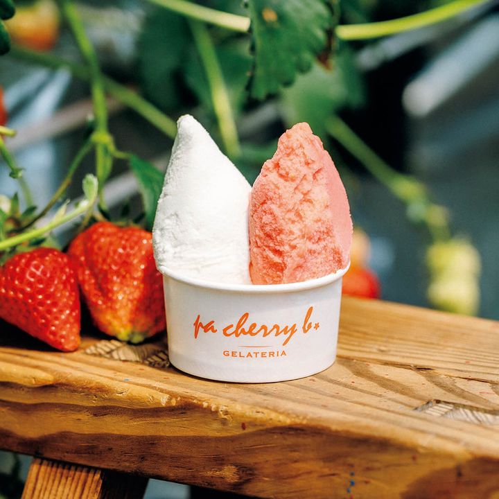 鳥取〈GELLATERIA pa cherry b.〉ジェラート