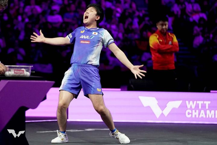 張本智和（C）WTT
