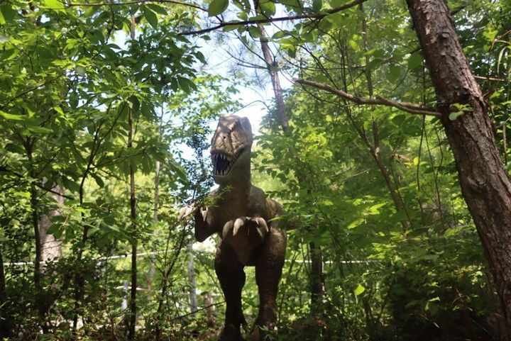 恐竜は、まだNG！（2023年8月、かつやまディノパークにて編集部撮影）