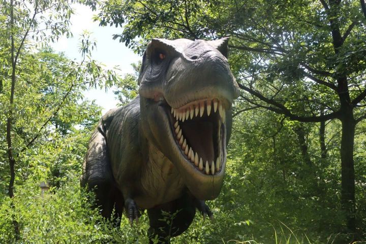 ティラノサウルス、確かに怖い（2023年8月、かつやまディノパークにて編集部撮影）