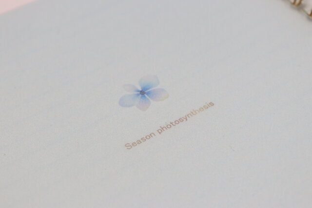 リングノート（フラワー、A5、50枚） デザイン