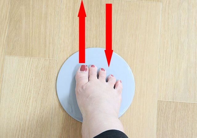 ダイソーのスライドディスク3