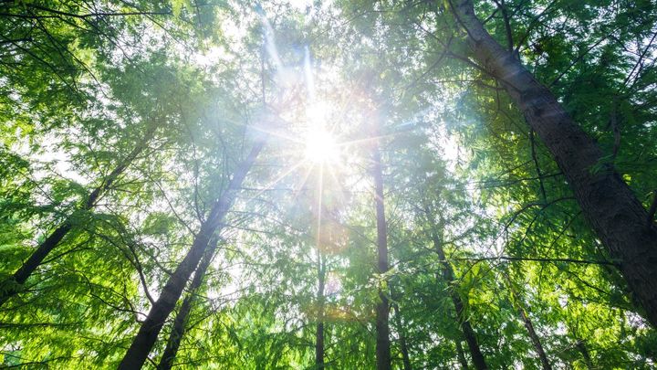 自然の中で何もしない時間は最高のご褒美