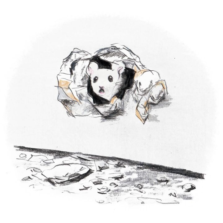 Anri Yamada イラスト