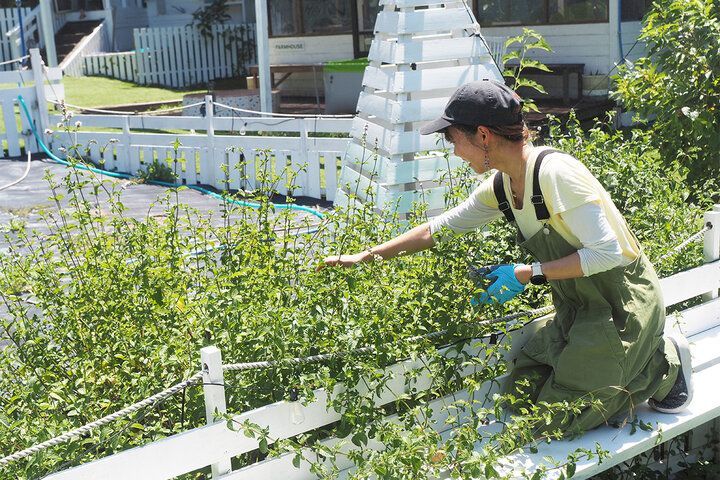 葉山さんぽで行きたい♪ 日常を忘れられる森の隠れ家レストランでのんびりランチ「ザハウスファーム」