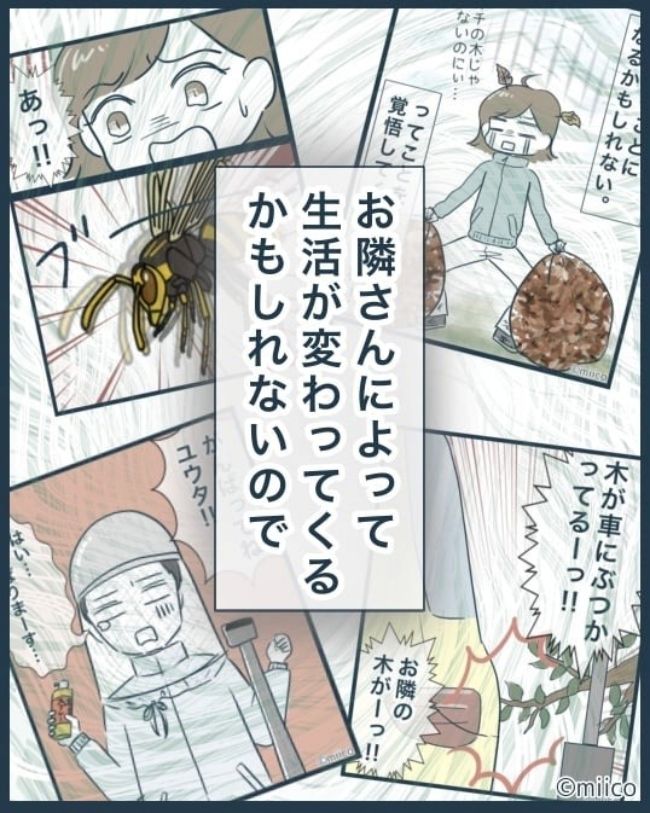 となりの庭に泣かされた／みぃ子