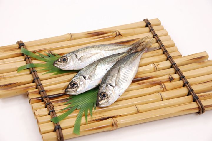 日本人になじみ深い魚「アジ」