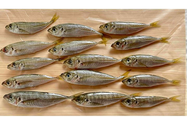 これだけ量があって数百円で手に入る「豆あじ」。お財布にも優しい！