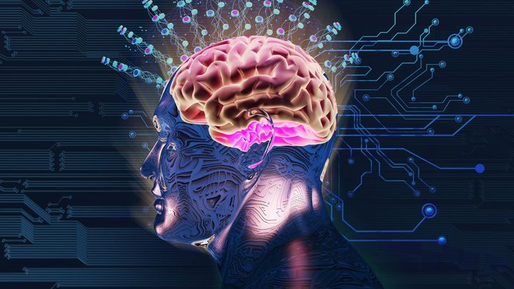 音楽に喜びを感じない脳