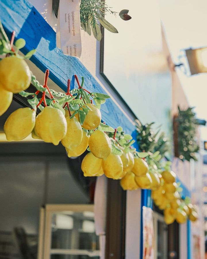 Red Brick Breeze 2025 「サントリーニ・エリア」