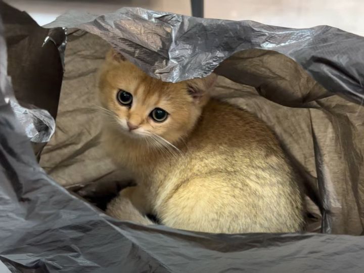 楽しそうに遊んでる！