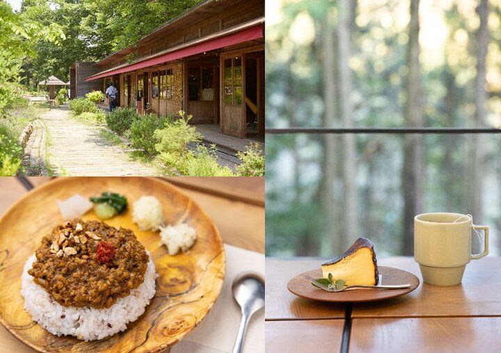 森の中にある「KITOKURAS cafe」で、マイナスイオンを浴びるカフェタイムを