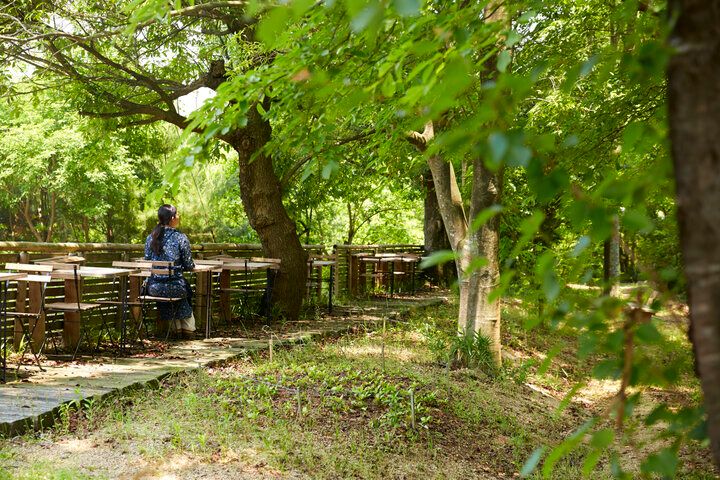 森の中にある「KITOKURAS cafe」で、マイナスイオンを浴びるカフェタイムを